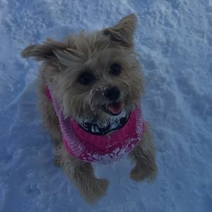 Meet your Posher, Kristina